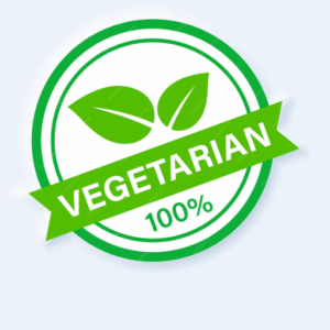 Vegetarian Meal Plan